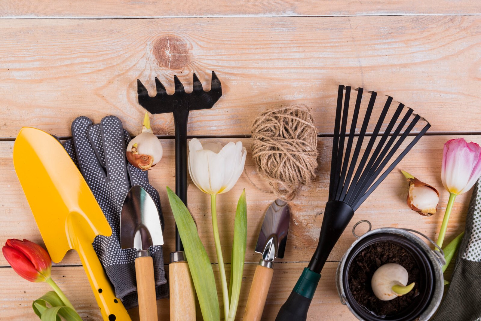 still-life-with-gardening-objects